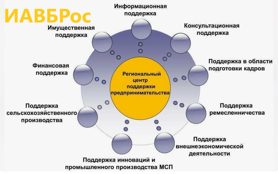 Из материалов которые должны быть. Государственная поддержка малого бизнеса 2021. Направления бизнеса. Организационная поддержка малого предпринимательства. Программы господдержки малого бизнеса.